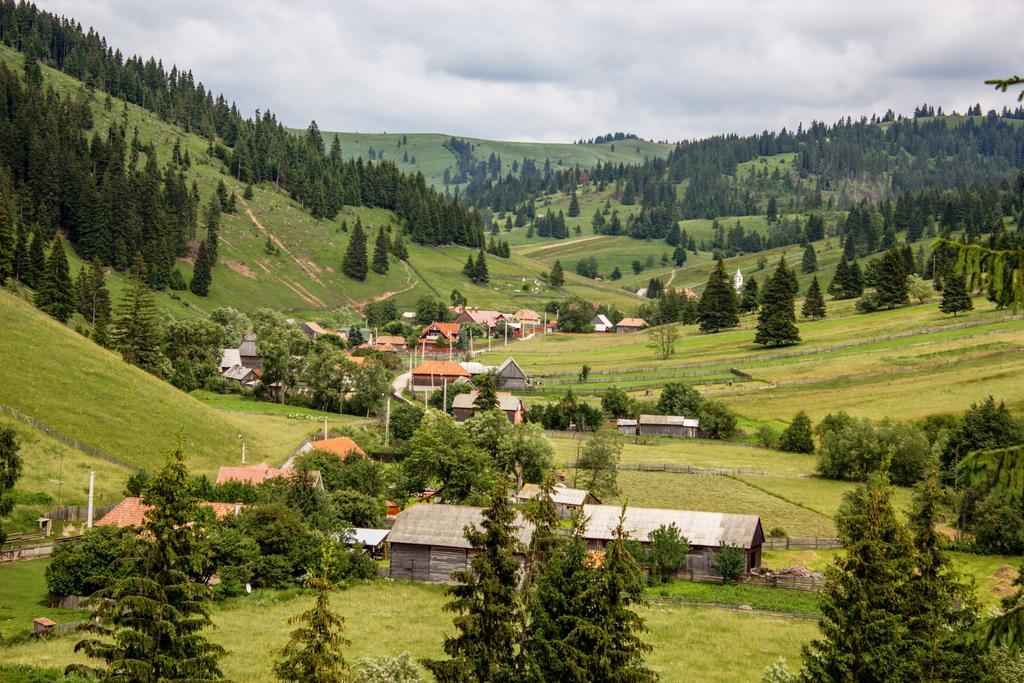 Picnic Panzio Bed & Breakfast Lunca de Sus Exterior photo