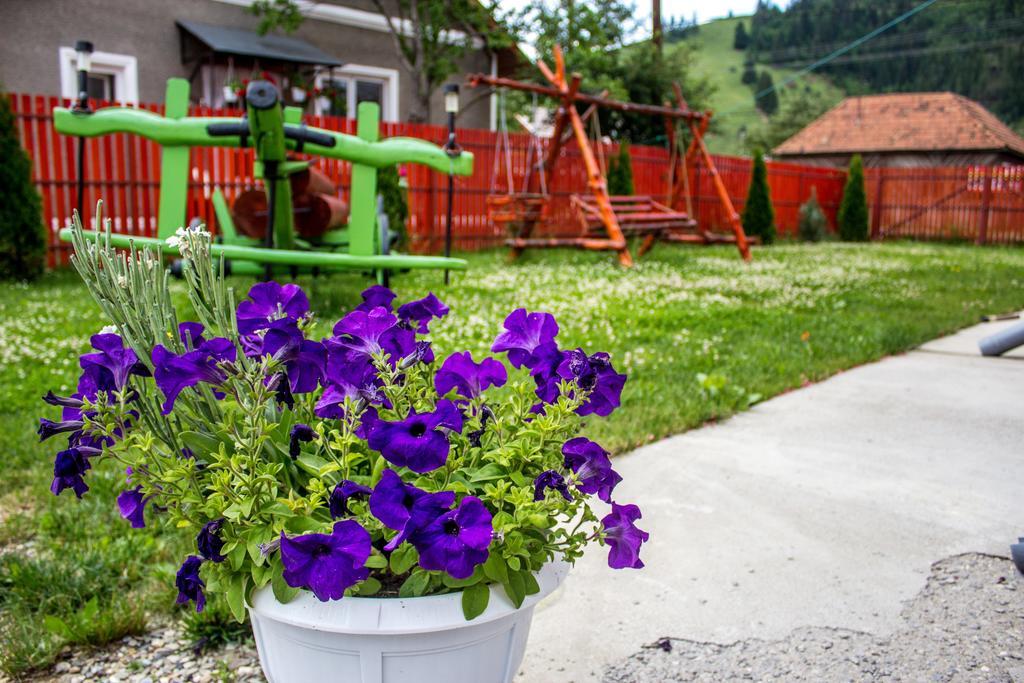 Picnic Panzio Bed & Breakfast Lunca de Sus Exterior photo