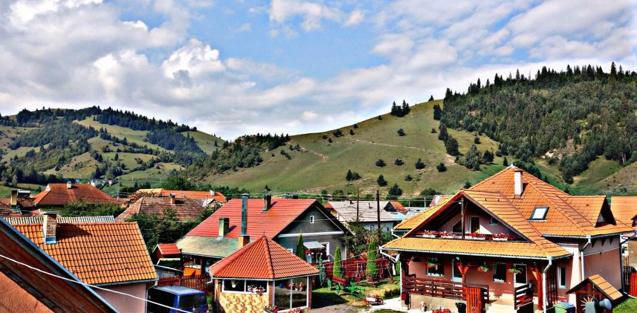 Picnic Panzio Bed & Breakfast Lunca de Sus Exterior photo
