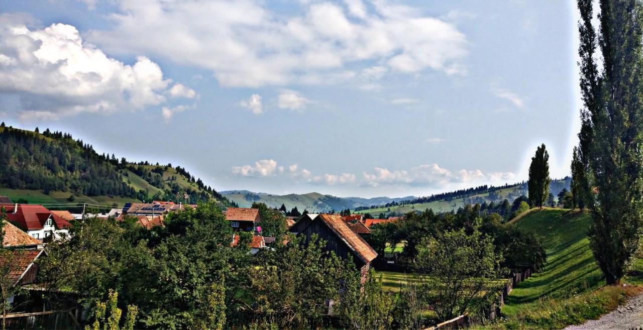 Picnic Panzio Bed & Breakfast Lunca de Sus Exterior photo
