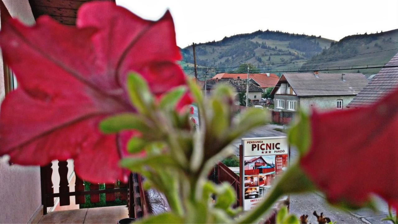 Picnic Panzio Bed & Breakfast Lunca de Sus Exterior photo
